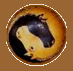 [Yin Yang horses]